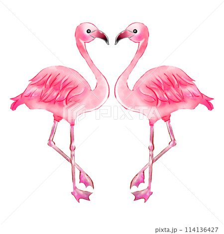 仲良しフラミンゴ 仲良しフラミンゴ 114136427