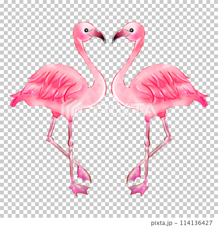 友善的火烈鳥 友善的火烈鳥 114136427