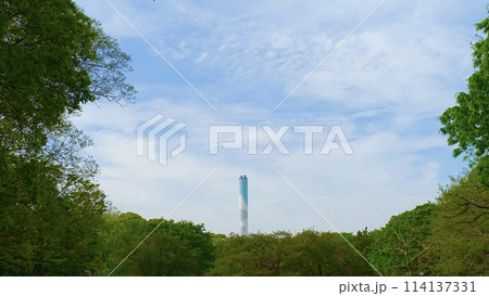緑の森の中の煙突と青空 114137331
