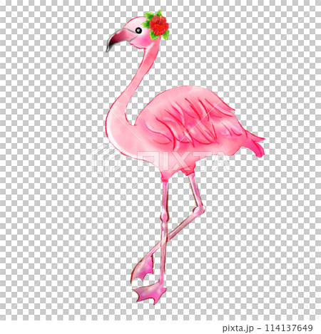 Flamingo with hibiscus 114137649