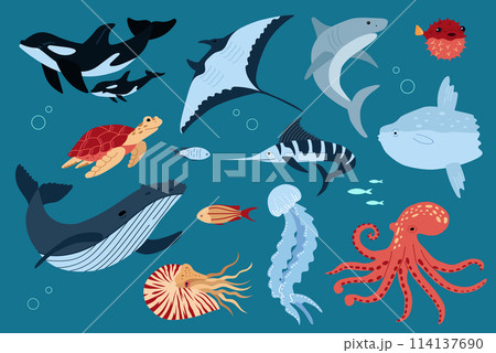 Fish and wild marine animals are isolated on white background. Inhabitants of the sea world, cute, funny underwater creatures. Flat cartoon illustration Fish and wild marine animals are isolated on white background. Inhabitants of the sea world, cute, funny underwater creatures. Flat cartoon illustration 114137690