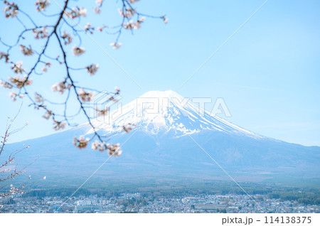 富士山と桜 富士山と桜 114138375