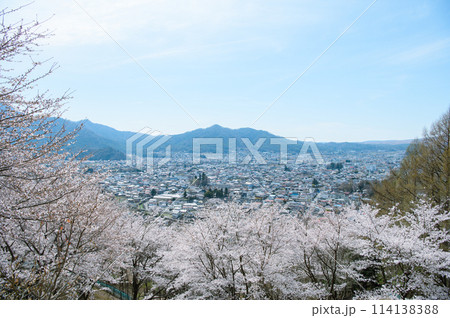 春の新倉山浅間公園からの景色 春の新倉山浅間公園からの景色 114138388