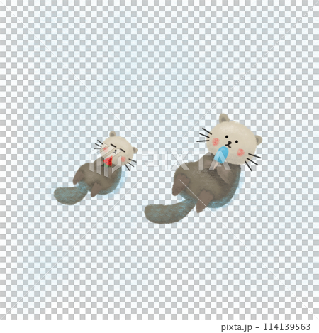 Sea otter illustration Sea otter illustration 114139563