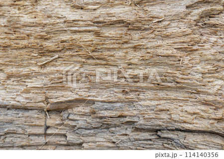 Beautiful old wooden background of wooden log without bark 114140356