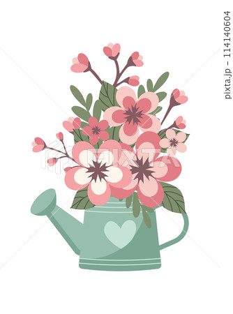 Watering can with blossom sakura flower isolated on white background 114140604