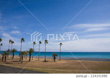 七里御浜ふれあいビーチ(三重県・熊野灘) 七里御浜ふれあいビーチ(三重県・熊野灘) 114141490