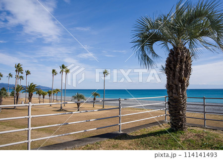 七里御浜ふれあいビーチ（三重県・熊野灘） 114141493