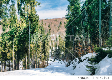 Winter mountain landscape with cross country skiing way. download 114142193