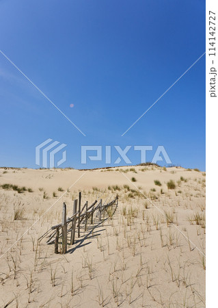 Lithuanian dunes sandy grass and clear sky 114142727