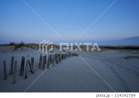 evening dunes Lithuania landscape image 114142784