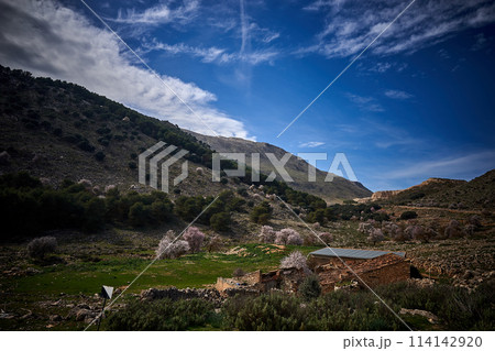 Spain Andalucia spring surrounding lonely tree mountains clouds tunnel 114142920