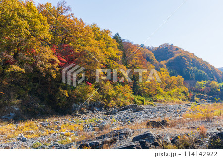 埼玉長瀞の秋　紅葉見頃の荒川　小滝の瀬 114142922