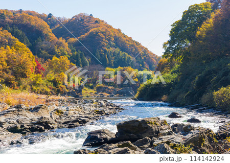 埼玉長瀞の秋　紅葉見頃の荒川　小滝の瀬 114142924
