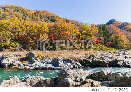 埼玉長瀞の秋 紅葉見頃の荒川 小滝の瀬 埼玉長瀞の秋 紅葉見頃の荒川 小滝の瀬 114142925