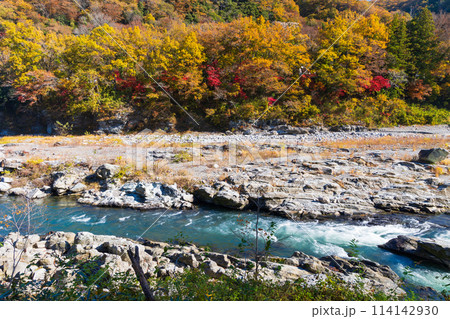 埼玉長瀞の秋　紅葉見頃の荒川　小滝の瀬 114142930