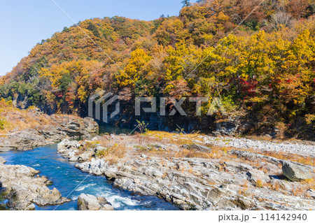 埼玉長瀞の秋 紅葉見頃の荒川 小滝の瀬 埼玉長瀞の秋 紅葉見頃の荒川 小滝の瀬 114142940