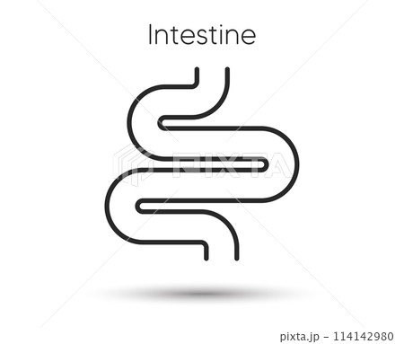 Intestine line icon. Digestion sign. Health bowel symbol. Colonoscopy gut procedure. Illustration for web and mobile app. Line style intestines health icon. Editable stroke colon bowel. Vector Intestine line icon. Digestion sign. Health bowel symbol. Colonoscopy gut procedure. Illustration for web and mobile app. Line style intestines health icon. Editable stroke colon bowel. Vector 114142980