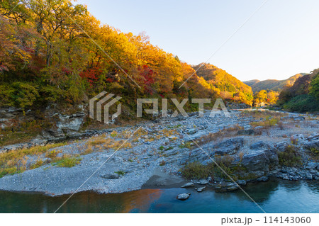 埼玉長瀞の秋 紅葉見頃の荒川 夕暮れの小滝の瀬 埼玉長瀞の秋 紅葉見頃の荒川 夕暮れの小滝の瀬 114143060