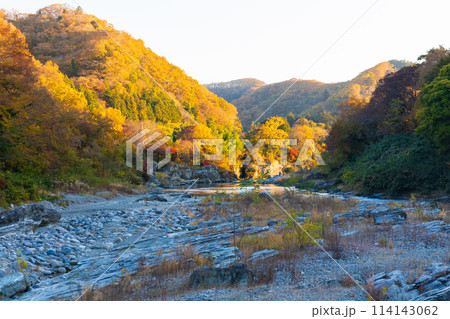 埼玉長瀞の秋　紅葉見頃の荒川　夕暮れの小滝の瀬 114143062