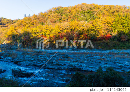 埼玉長瀞の秋　紅葉見頃の荒川　夕暮れの小滝の瀬 114143063