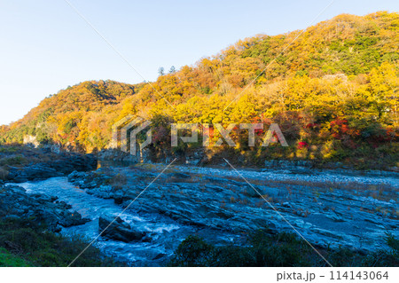 埼玉長瀞の秋 紅葉見頃の荒川 夕暮れの小滝の瀬 埼玉長瀞の秋 紅葉見頃の荒川 夕暮れの小滝の瀬 114143064