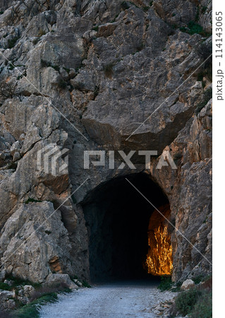 Spain Andalucia spring surrounding lonely tree mountains clouds tunnel 114143065