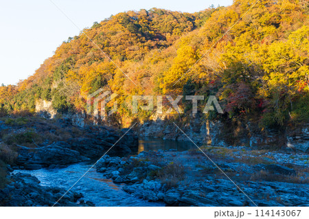 埼玉長瀞の秋　紅葉見頃の荒川　夕暮れの小滝の瀬 114143067
