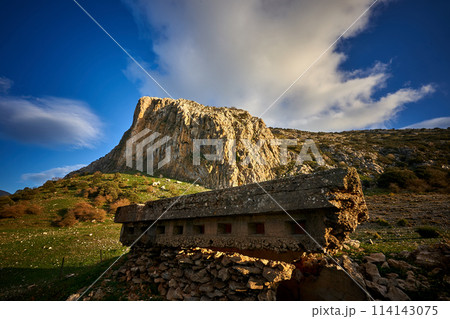 Spain Andalucia spring surrounding lonely tree mountains clouds tunnel 114143075