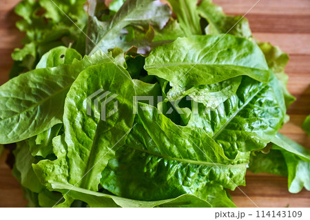 Eco veg growing  114143109