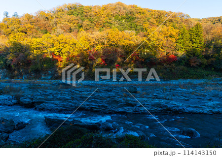 埼玉長瀞の秋　紅葉見頃の荒川　夕暮れの小滝の瀬 114143150