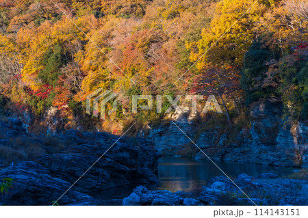 埼玉長瀞の秋 紅葉見頃の荒川 夕暮れの小滝の瀬 埼玉長瀞の秋 紅葉見頃の荒川 夕暮れの小滝の瀬 114143151