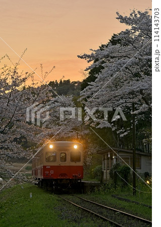 桜咲く無人駅とレトロ列車　小湊鉄道　上総大久保駅 114143703