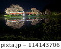 水鏡の桜ライトアップとレトロ列車　小湊鉄道　飯給駅 114143706