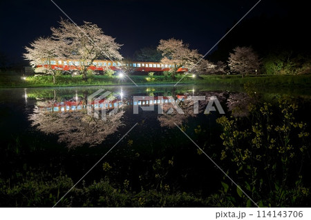 水鏡の桜ライトアップとレトロ列車　小湊鉄道　飯給駅 114143706