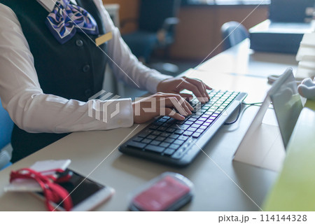 会社で働く女性社員 会社で働く女性社員 114144328