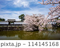 小田原の風景　桜が満開の小田原城 114145168