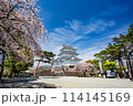 小田原の風景　桜が満開の小田原城 114145169