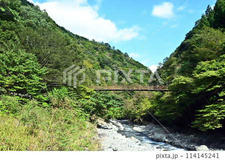 丹沢の本谷川に架かる吊り橋 丹沢の本谷川に架かる吊り橋 114145241