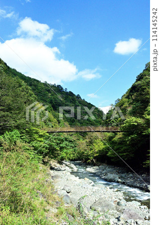 丹沢の本谷川に架かる吊り橋 丹沢の本谷川に架かる吊り橋 114145242