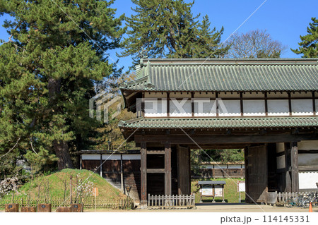 弘前城 清々しい春の朝 北の郭亀甲門 青森県 弘前城 清々しい春の朝 北の郭亀甲門 青森県 114145331