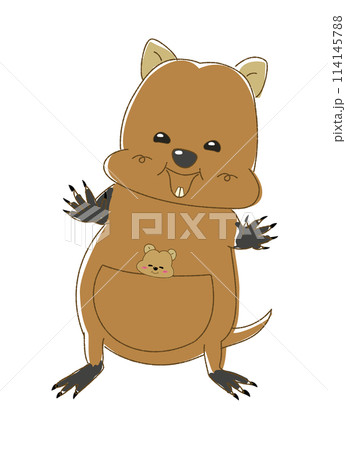 手を広げたクアッカワラビー 手を広げたクアッカワラビー 114145788