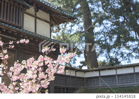 弘前城 春の朝 桜と北門 青森県 弘前城 春の朝 桜と北門 青森県 114145818