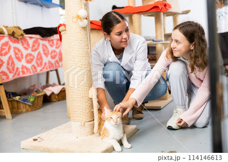 Preteen girl petting red and white cat with female worker in shelter 114146613