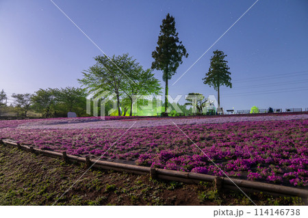 《埼玉県》芝桜の丘・春の秩父羊山公園・月明かりの夜景 114146738