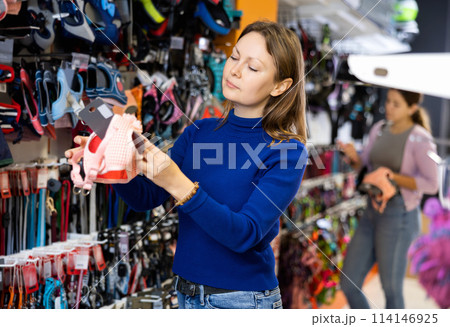 Young woman choosing dog outfits for puppy in pet store 114146925