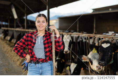 Smiling girl farmer posing in outdoor cowshed at livestock farm 114147555