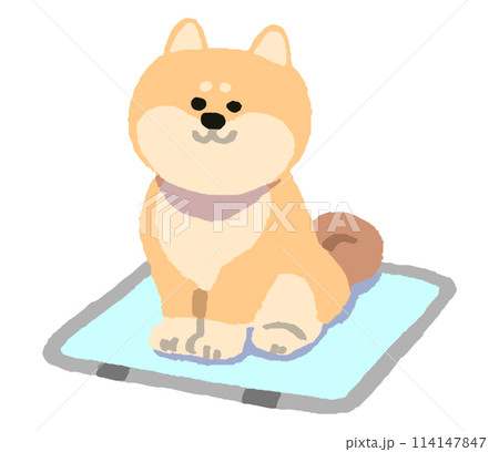 トイレと犬 114147847