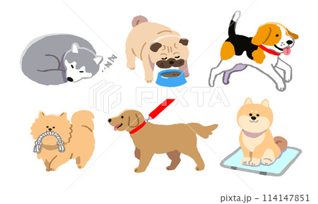 生活する犬のイラストセット 114147851