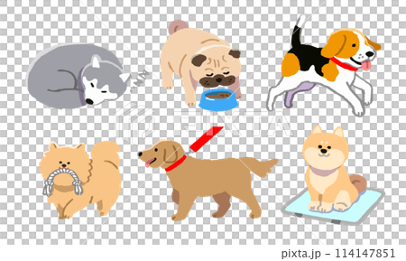 生活する犬のイラストセット 114147851